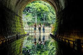 粉鳥旅遊平台